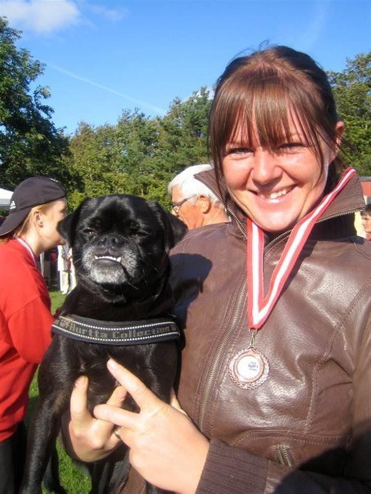 Blanding af racer 75% mops Dalton... - 2 x 3 plads til vores første agility stævne! billede 20