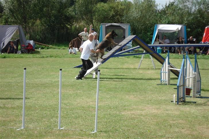 Tervueren Lukas billede 4