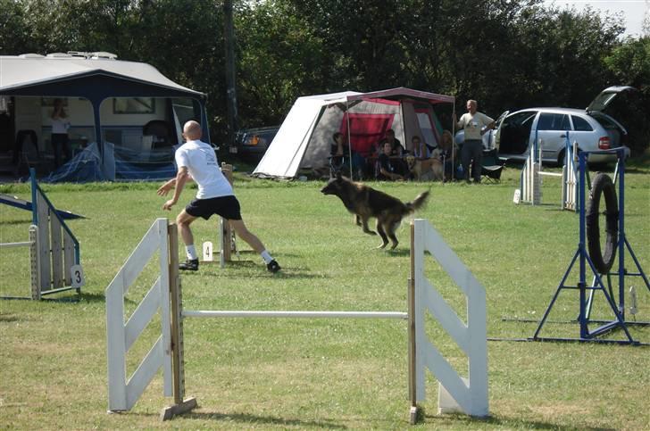 Tervueren Lukas billede 5