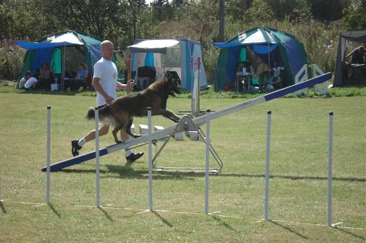 Tervueren Lukas billede 6