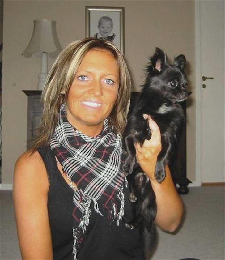 Chihuahua  - ~°º• Nico •º°~ -  - Mig og dejlige Nico... c",) billede 8