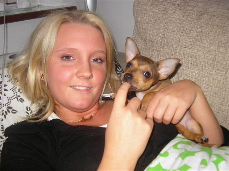 Blanding af racer Molly - Molly og sin moar:o) billede 8