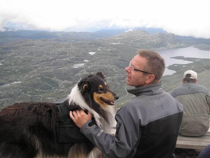 Collie langhåret Lucca   - Lucca og min far på toppen af bjerget. billede 13