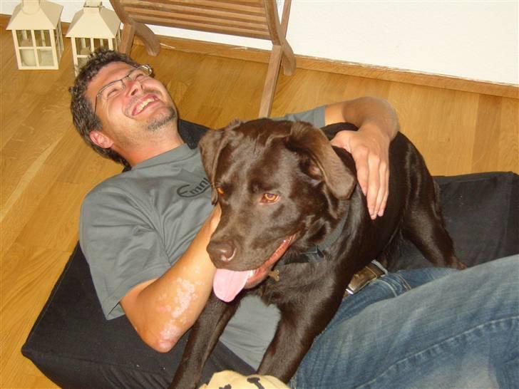 Labrador retriever Bailey - Bailey og hans onkel Bent billede 8