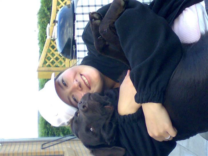 Labrador retriever Bailey - min mor og mig billede 10