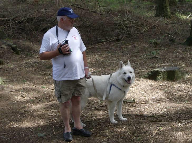 Hvid schæfer olsen billede 17