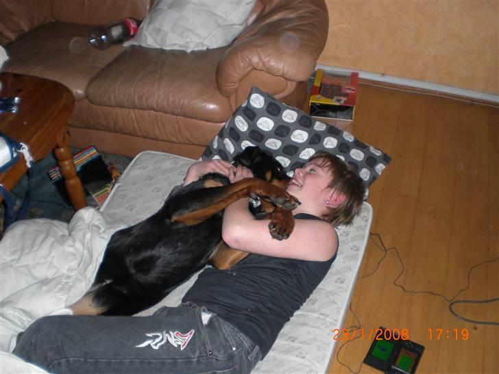 Rottweiler Nikita, dornenhof  R.I.P - Nikita 9 mdr billede 1