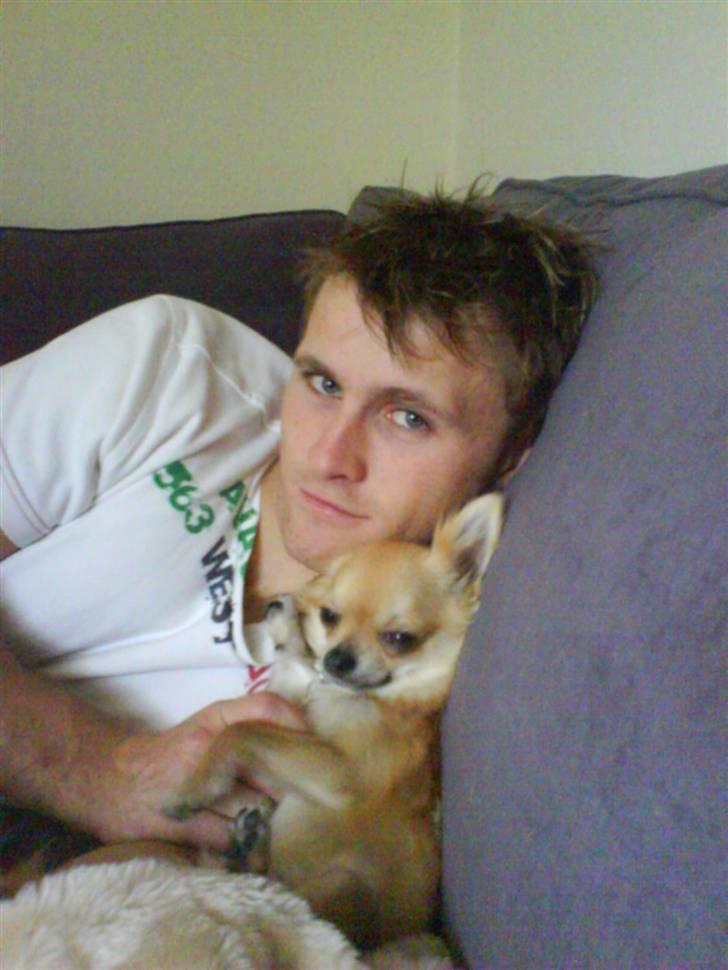 Chihuahua Joey - Er også lidt en far´s dreng :-) billede 12