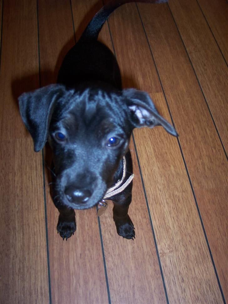 Blanding af racer Nico - Kig i kameraret (14.09.07) billede 16