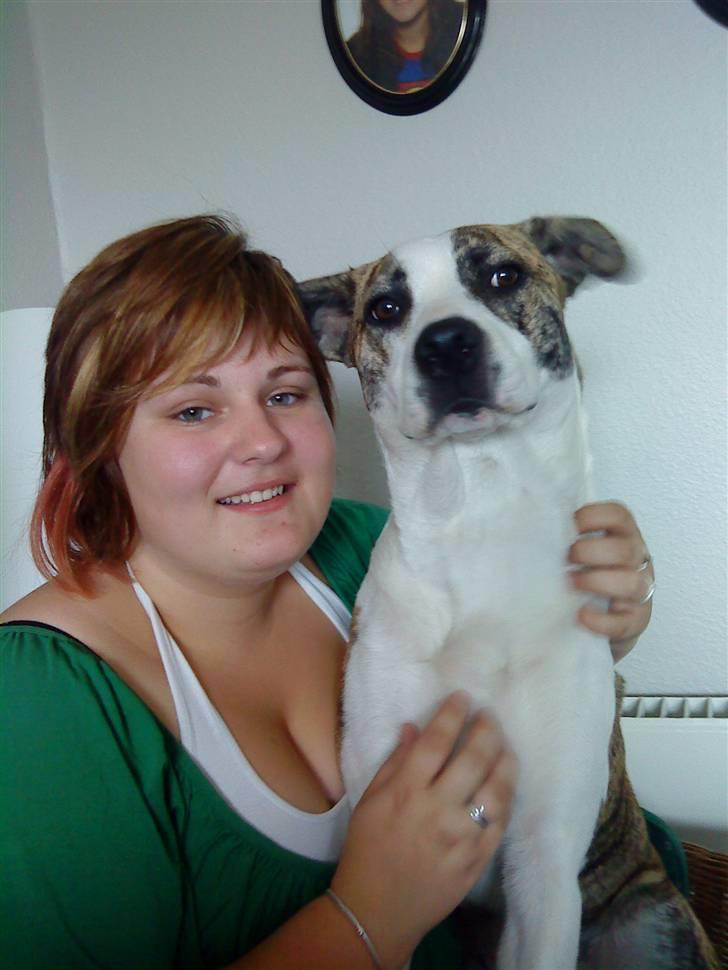 Blanding af racer amstaff/mutte Mille* - "Her er jeg sammen med min søde moster :)" 11/7-08 billede 15