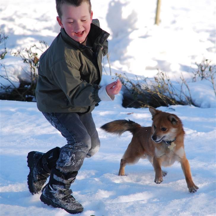 Blanding af racer » Hegnsholts Pax<3 «  - Ruuuf , det er MIT legetøj :D Pax og Jakob leger d. 6. marts 2010. Jakob er 6 år gammel. billede 12