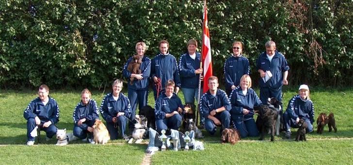 West highland white terrier Jack - DM agillity vejle holdet 2007 billede 16