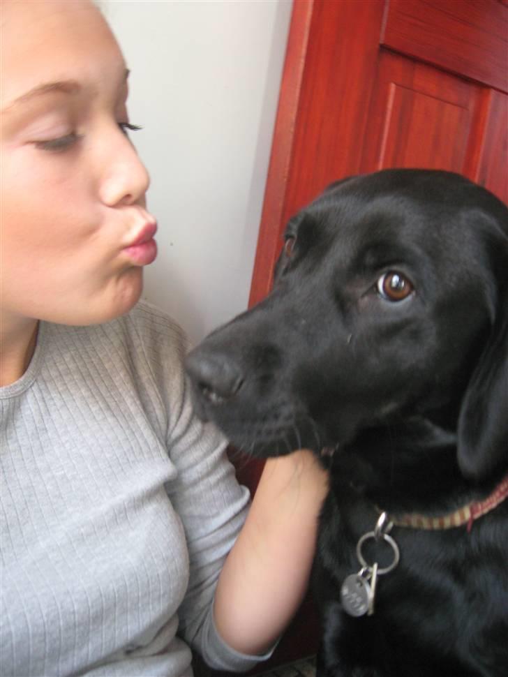 Blanding af racer Nitta ! (L) billede 4