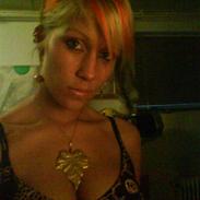 Amerikansk staffordshire terrier shila