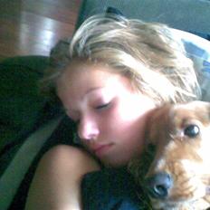 Cocker spaniel Sif  *SOLGT