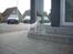 Amerikansk bulldog basse (RIP MIN SKAT)