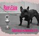 Fransk bulldog Plaire´s Elaine