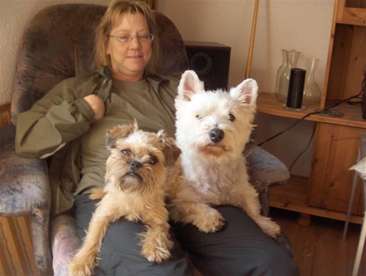 Blanding af racer Zita billede 3