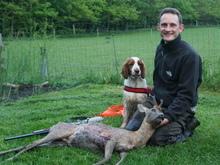 Welsh springer spaniel Sif - Sif og Jespers første buk billede 4
