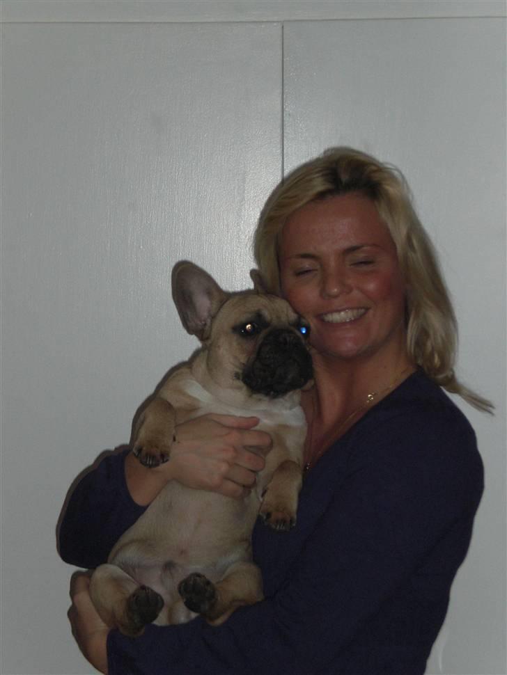 Fransk bulldog Ludvig - ludvig og mor billede 8