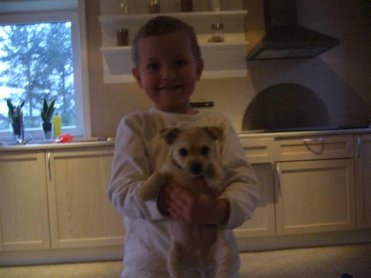 Blanding af racer Kenzo - Kenzo sammen med min nevø Sebastian:) billede 5