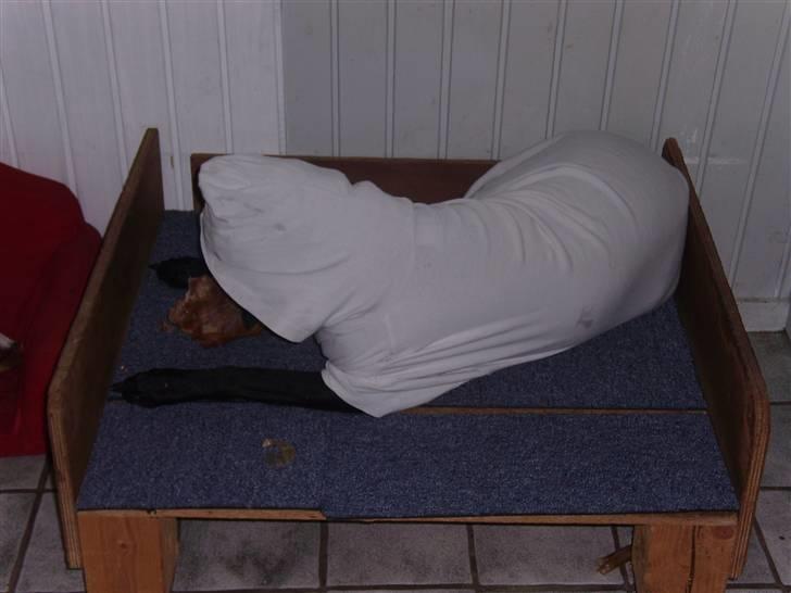 Blanding af racer Victor billede 4