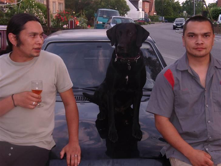 Blanding af racer Victor billede 14