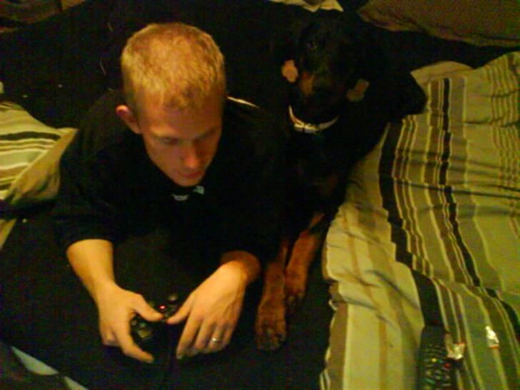 Dobermann Torontos Xenta *R.I.P.* - Ja far og jeg tager lige en dyst i en gang playstaion. Mener det bar mig de vandt.. :-) billede 13