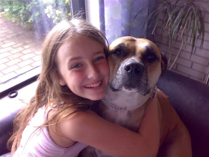 Dogo canario Bella - Real love <´3 billede 5