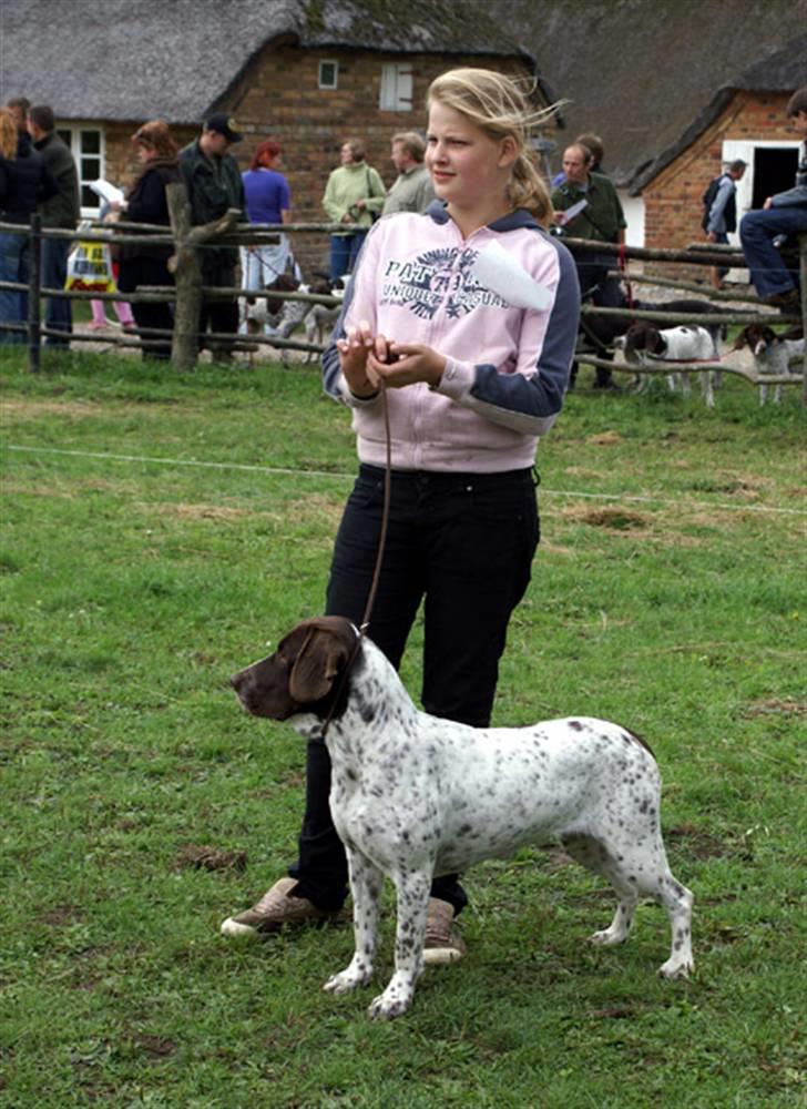 Gammel dansk hønsehund Stampe <33!!  - Mig og stampe på udstilling på hjerl hede d. 25-8-07 billede 6