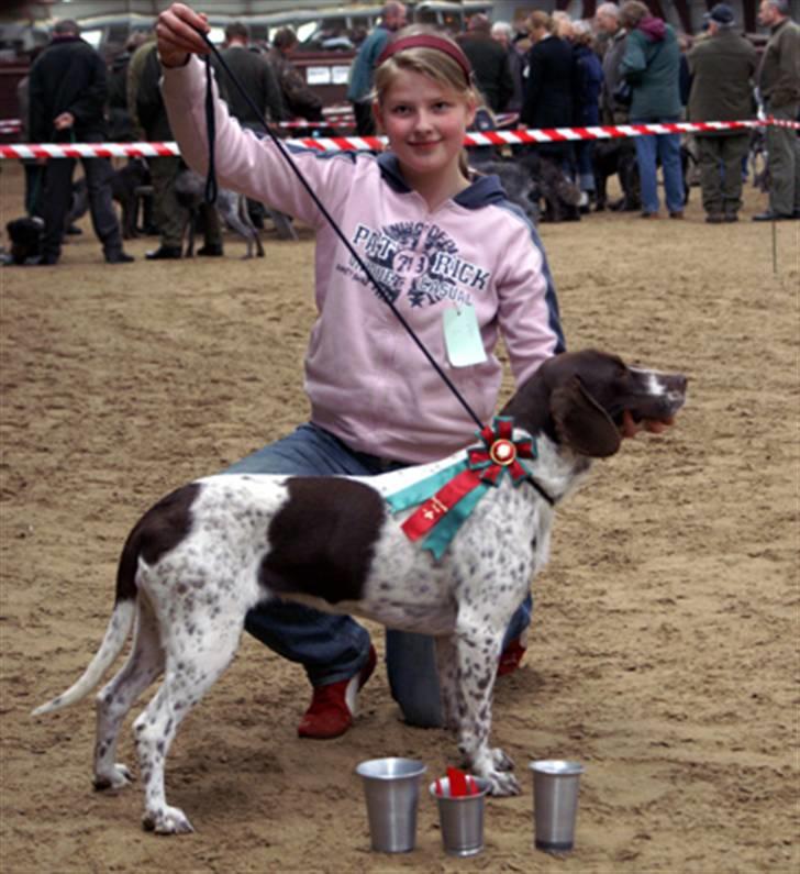 Gammel dansk hønsehund Stampe <33!!  - Mig og stampe i NR. hostrup, d 7-4-2007!! billede 7