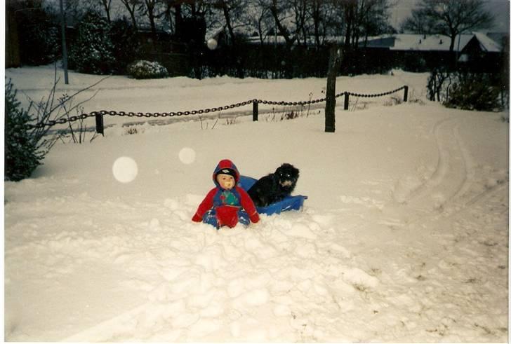 Blanding af racer sussie er Død billede 3