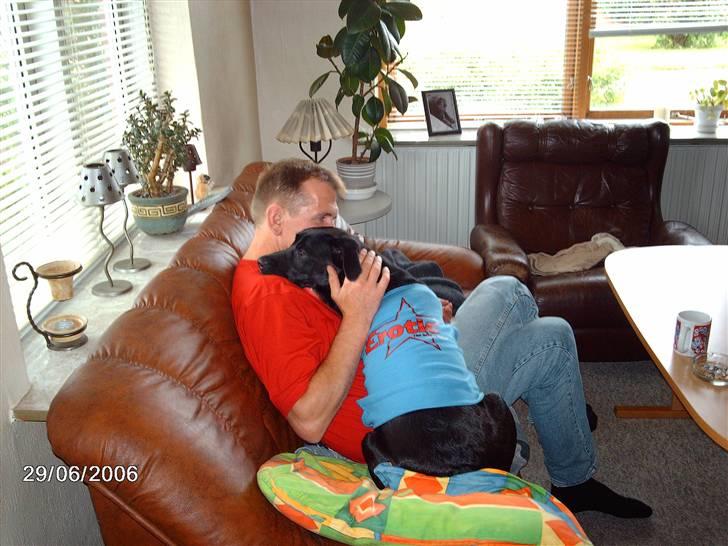 Blanding af racer ozzi - lidt trøst ved far billede 14