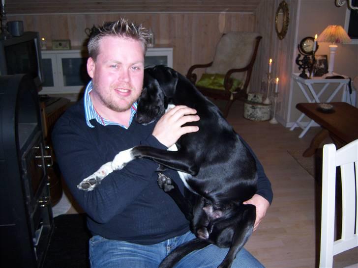 Blanding af racer Bianca - Der er ikke noget bedre end at hygge hos sin Far... billede 2