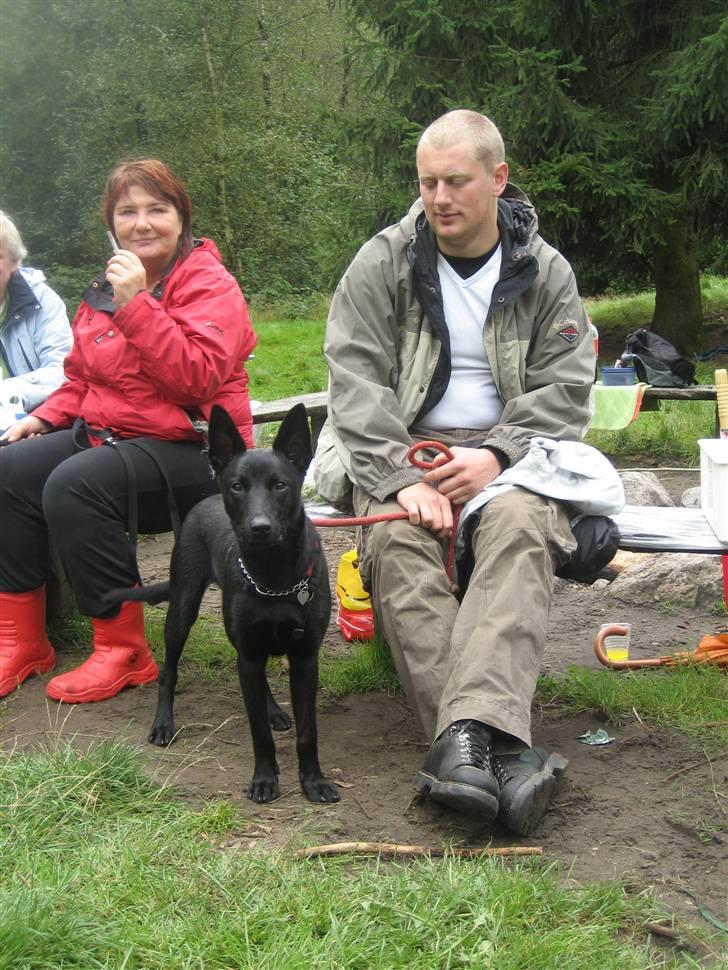 Australsk kelpie Gaia - Far og jeg sidder ved bålpladsen vedl kelpietræf i sønderjylland billede 10