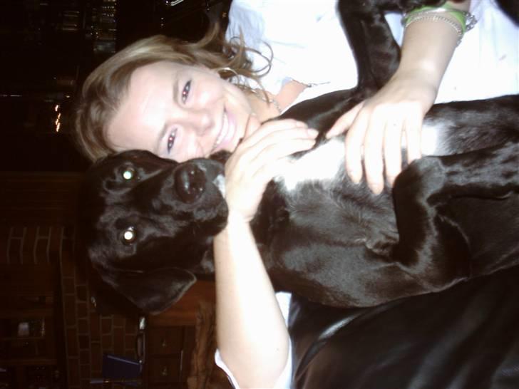 Blanding af racer Bingo - Bingo med hans stolte ejer.. billede 12