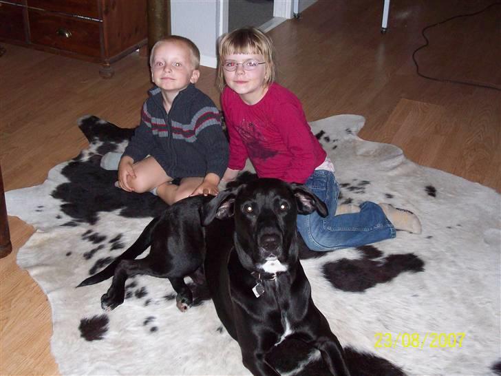 Blanding af racer Bingo - her er mine bedste lege kammerater billede 18