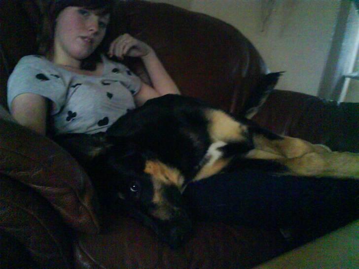 Blanding af racer Vaks Aflivet i 2009 - åhh.  Skønt at slappe af på Mutte (: billede 18