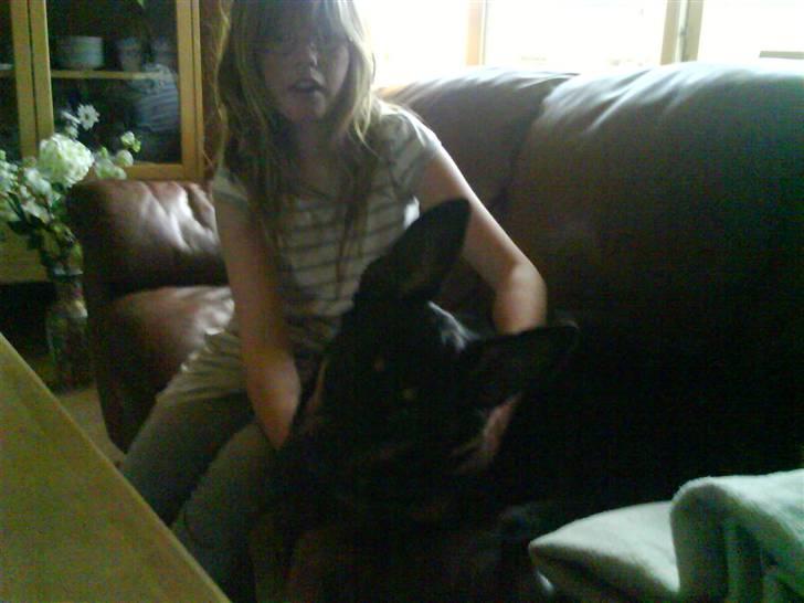 Blanding af racer Vaks Aflivet i 2009 - Hva siger du ? :b billede 19