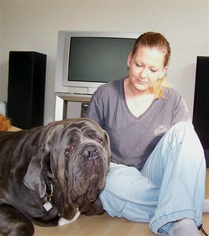 Mastino napoletano Falco - Min datter og Falco. 14-10-7 billede 20