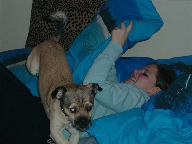 Blanding af racer Tyson R.I.P - her hudre jeg med min mor´s søster... billede 13