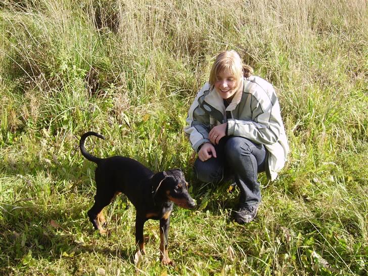 Dobermann Dina (Demi More) R.I.P. - I hundeskoven så har ikke tid til dig mor, jeg skal ud og lege billede 9