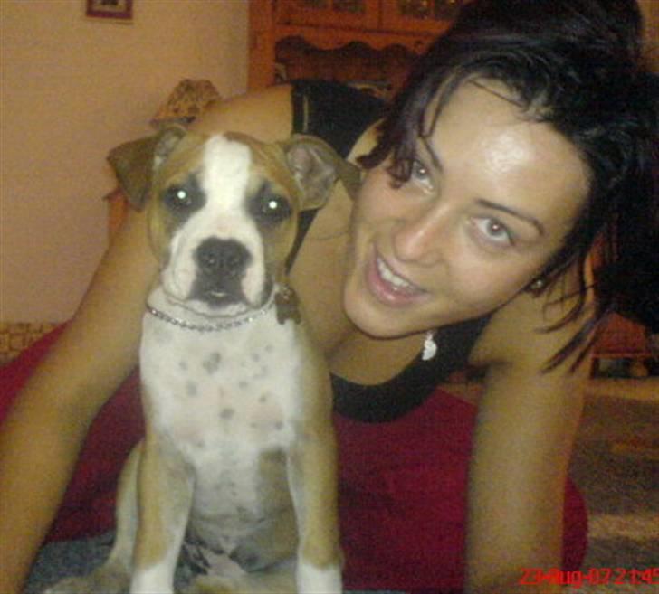 Amerikansk staffordshire terrier Bailey - Azra & Bailey billede 6