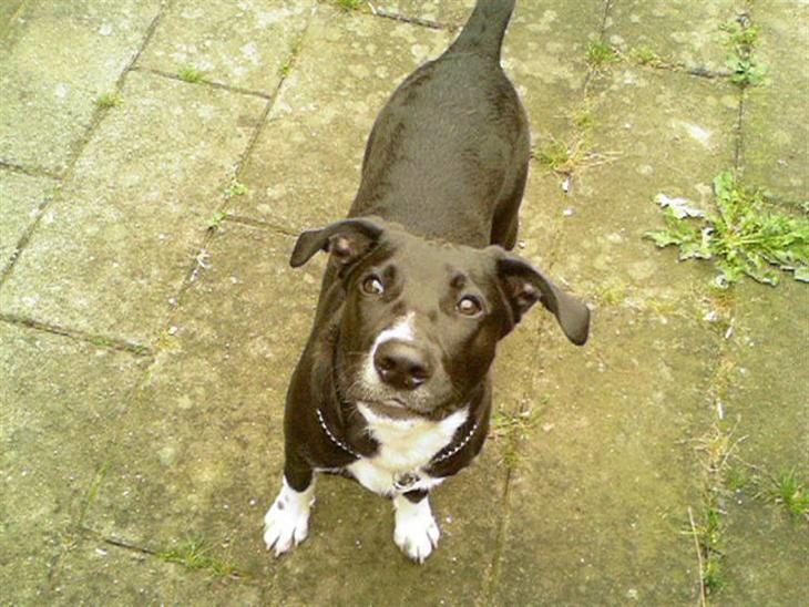 {{currentPhoto.altText}} billede {{currentPhoto.number}}