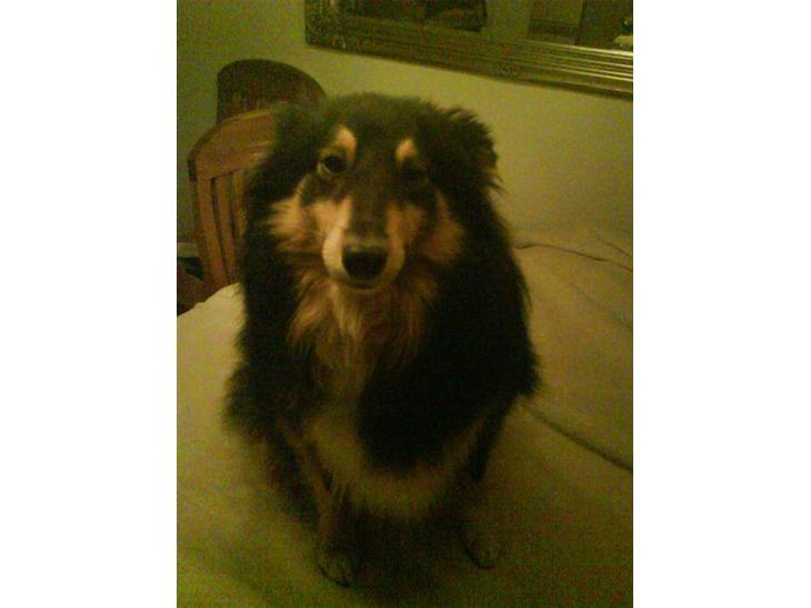 {{currentPhoto.altText}} billede {{currentPhoto.number}}