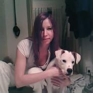 Amerikansk bulldog Kobush