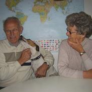 Dansk svensk gaardhund Buster