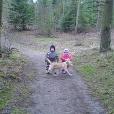 Blanding af racer bølle