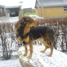 Blanding af racer Qato