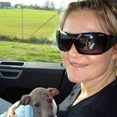 Italiensk mynde Fergie